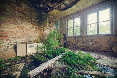 Overgrown by Michael Schwan multi panel art