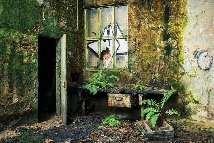 Overrun With Green by Michael Schwan wall art