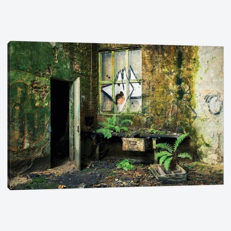 Overrun With Green Canvas Print #MSX129} by Michael Schwan Canvas Artwork