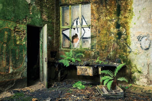 Dereliction: Overrun With Green by Michael Schwan