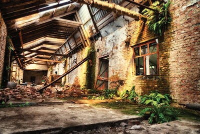 Reclaimed By Nature by Michael Schwan art print