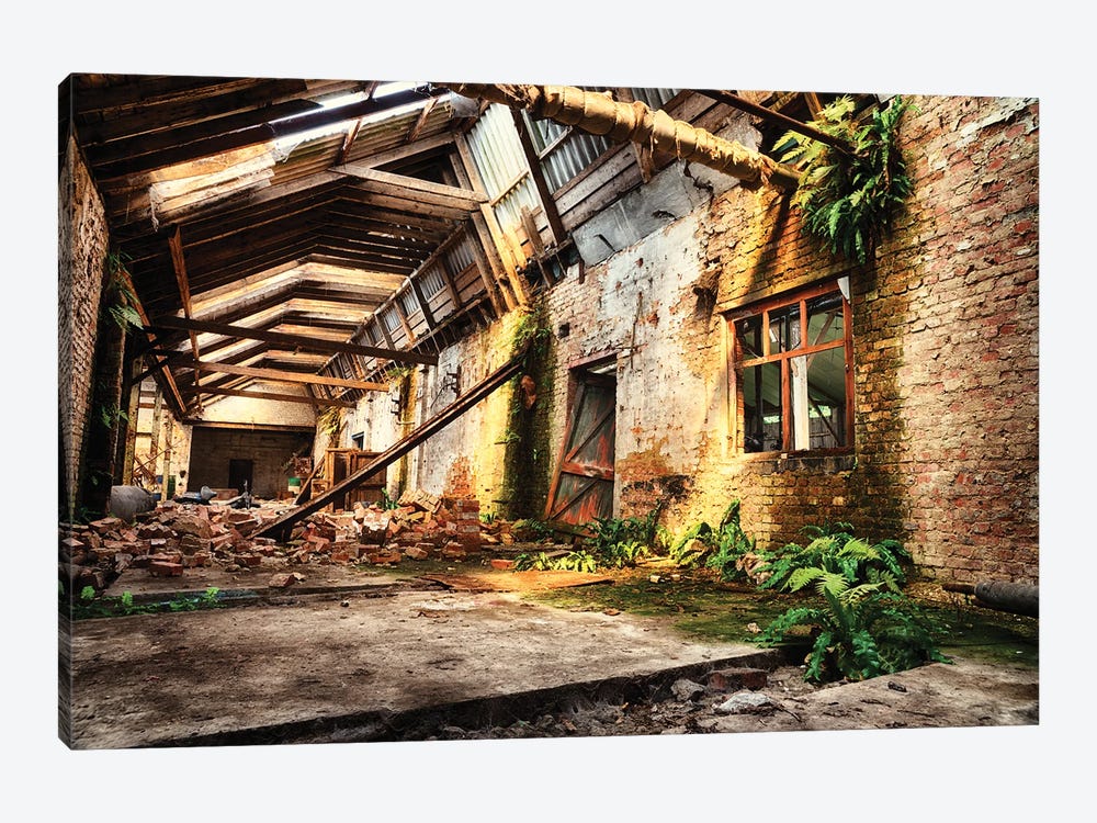 Reclaimed By Nature by Michael Schwan 1-piece Canvas Art