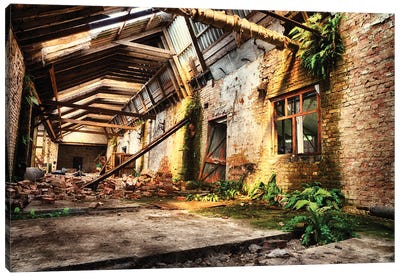 Reclaimed By Nature Canvas Art Print - Dereliction Art