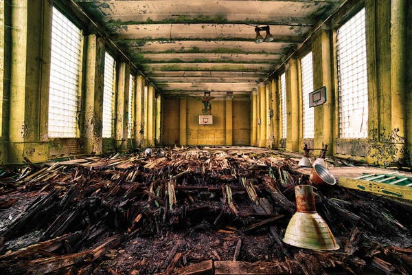 Dereliction: The Hardwood by Michael Schwan