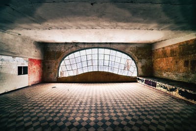 Window To The Forest by Michael Schwan canvas print