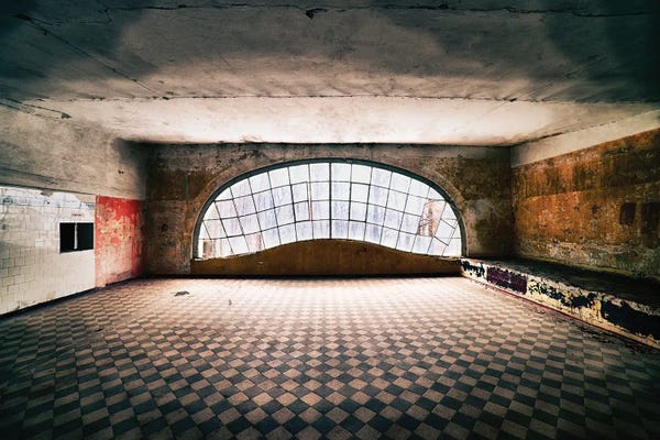 Dereliction: Window To The Forest by Michael Schwan