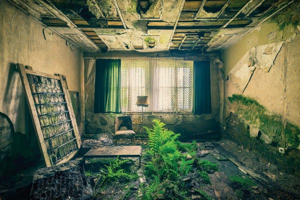 Dereliction: Nature Room by Michael Schwan