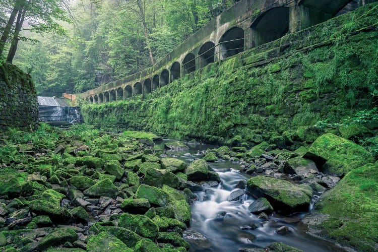 Waterworks by Michael Schwan wall art