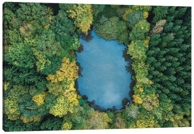 Forest Lake Canvas Art Print - Aerial Photography