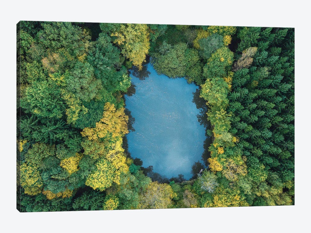 Forest Lake by Michael Schwan 1-piece Art Print