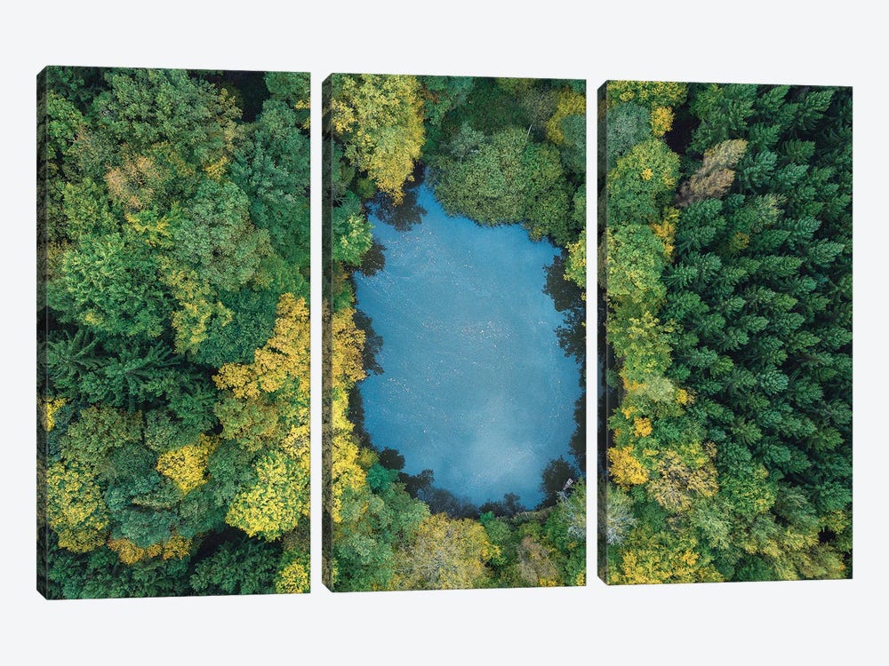 Forest Lake by Michael Schwan 3-piece Art Print
