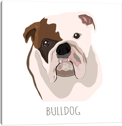 Bull Dog Canvas Art Print - Bulldog Art