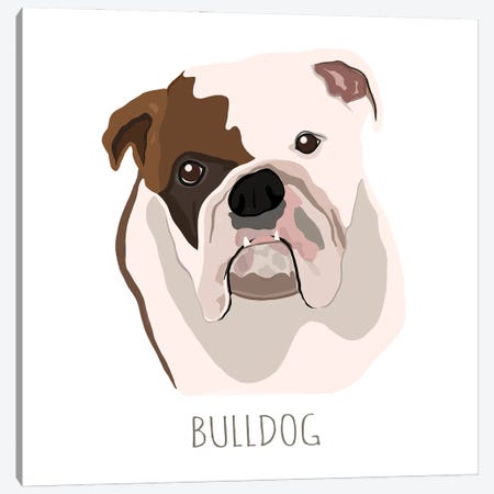 Bull Dog Canvas Print #MTE1} by Melanie Torres Art Print