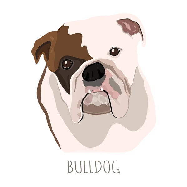 Bulldogs: Bull Dog by Melanie Torres