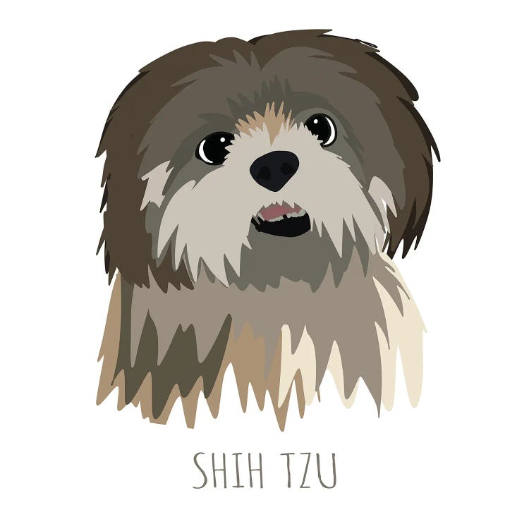 Shih Tzu