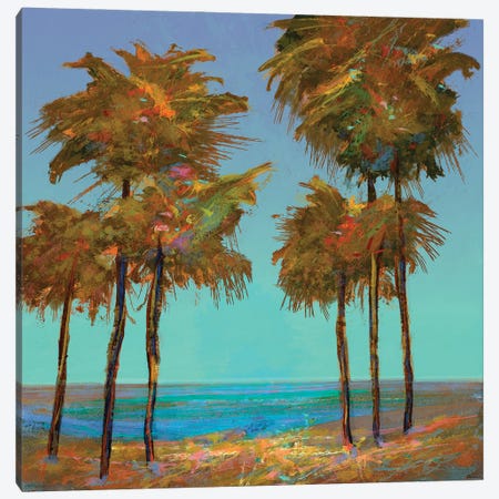 Seaside Sunset Canvas Print #MTH142} by Michael Tienhaara Canvas Print