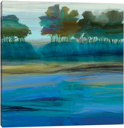 Ridgecrest I Canvas Art Print - Michael Tienhaara