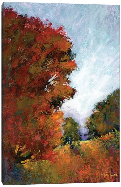 Fall's Romance I Canvas Art Print - Michael Tienhaara