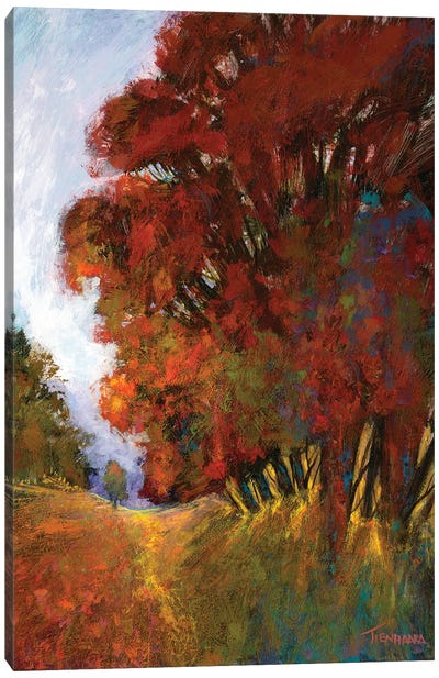 Fall's Romance II Canvas Art Print - Michael Tienhaara