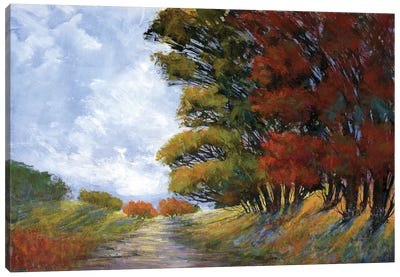 Golden Fall Canvas Art Print - Michael Tienhaara