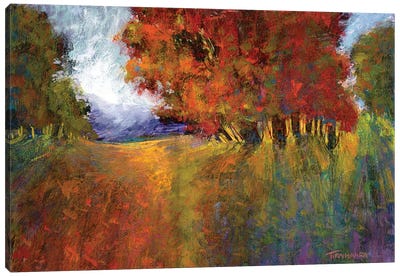 Aura Of Fall I Canvas Art Print - Michael Tienhaara