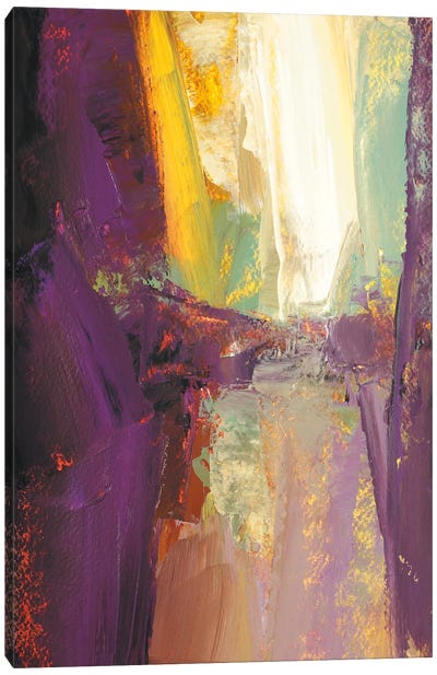 Violet Falls Canvas Art Print