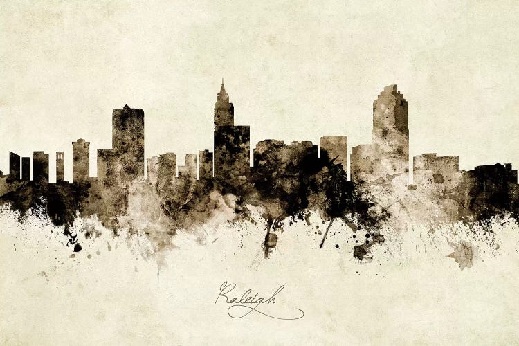 Raleigh North Carolina Skyline by Michael Tompsett wall art