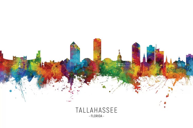 Tallahassee Florida Skyline by Michael Tompsett wall art