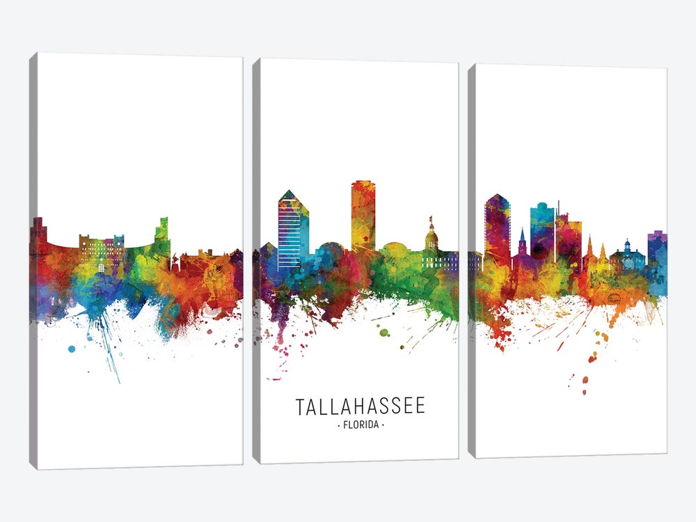 Tallahassee Florida Skyline by Michael Tompsett 3-piece Canvas Wall Art