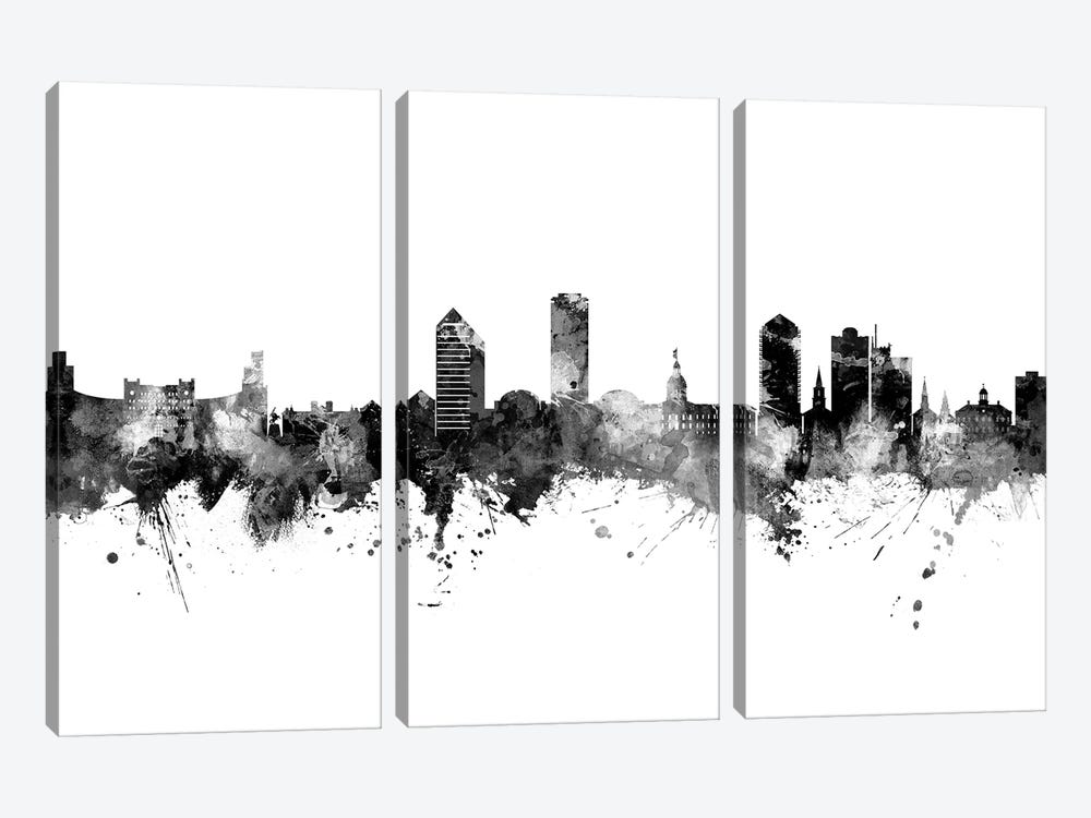 Tallahassee Florida Skyline Black And White by Michael Tompsett 3-piece Canvas Art