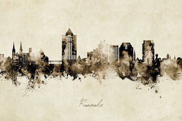 Virginia: Roanoke Virginia Skyline Vintage by Michael Tompsett
