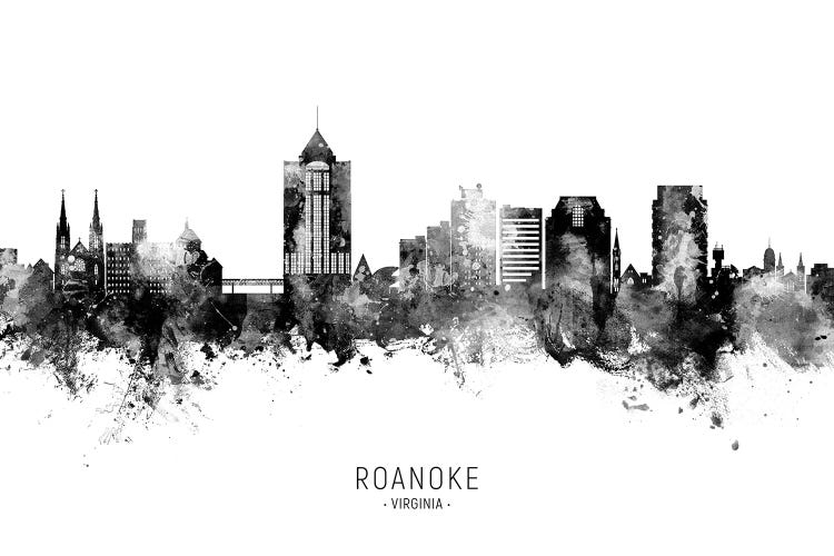 Roanoke Virginia Skyline Name Bw by Michael Tompsett wall art