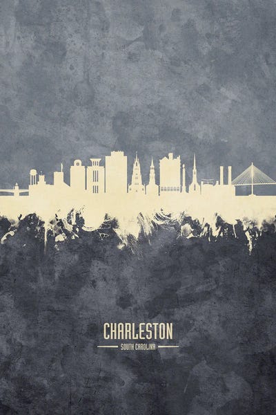 South Carolina: White On Grey Charleston South Carolina Skyline by Michael Tompsett