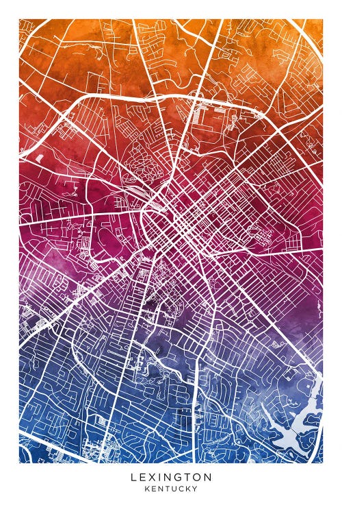 Lexington Map Bluepink by Michael Tompsett wall art