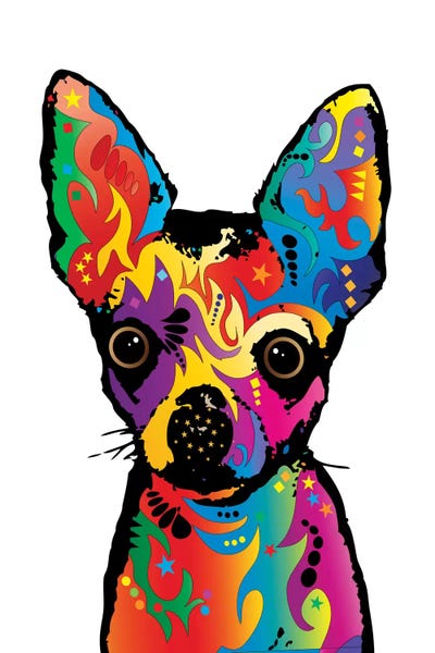 Chihuahuas: Rainbow Chihuahua On White by Michael Tompsett