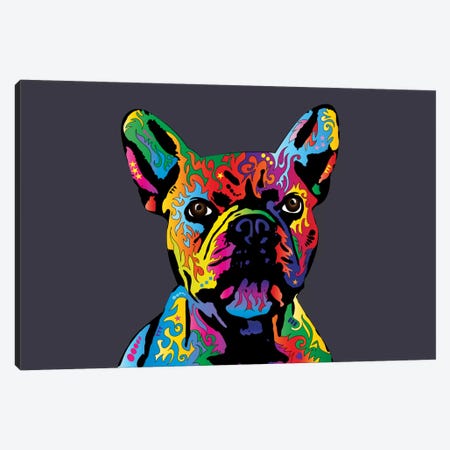 Rainbow French Bulldog On Grey Canvas Print #MTO498} by Michael Tompsett Canvas Art