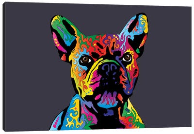 Rainbow French Bulldog On Grey Canvas Art Print - French Bulldog Art