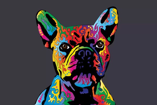 French Bulldogs: Rainbow French Bulldog On Grey by Michael Tompsett