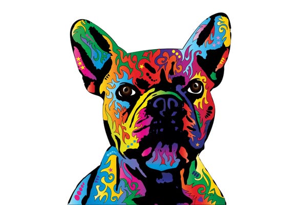 French Bulldogs: Rainbow French Bulldog On White by Michael Tompsett