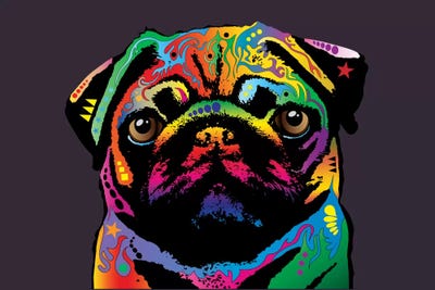 Rainbow Pug On Plum Grey by Michael Tompsett canvas print