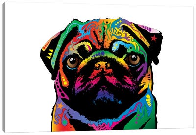 Rainbow Pug On White Canvas Art Print - Pug Art