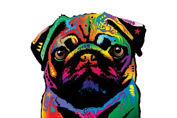 Pugs: Rainbow Pug On White by Michael Tompsett