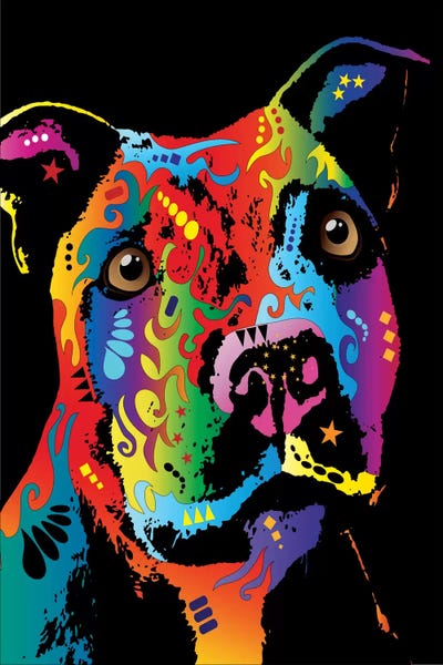 American Staffordshire Terriers: Rainbow Staffordshire Bull Terrier (Pit Bull) by Michael Tompsett