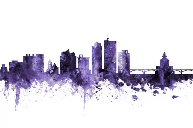 Cedar Rapids, Iowa Skyline by Michael Tompsett wall art