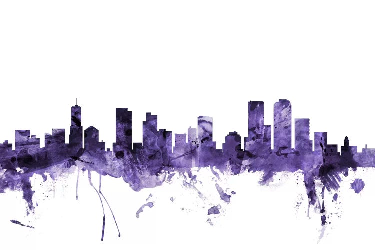 Denver, Colorado Skyline by Michael Tompsett wall art