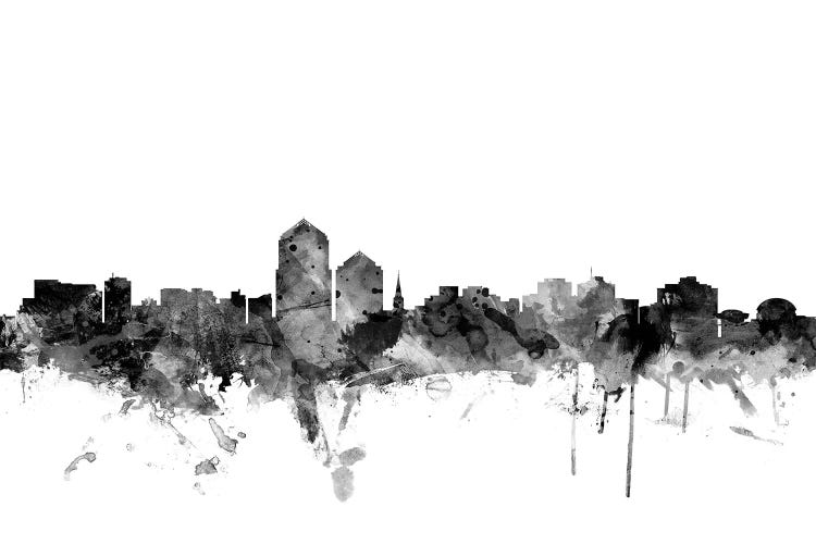 Albuquerque, New Mexico In Black & White by Michael Tompsett wall art