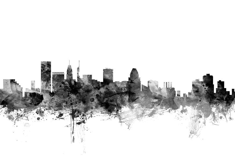 Baltimore, Maryland In Black & White by Michael Tompsett wall art