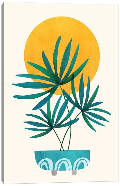 Little Palm Canvas Art Print - Modern Tropical