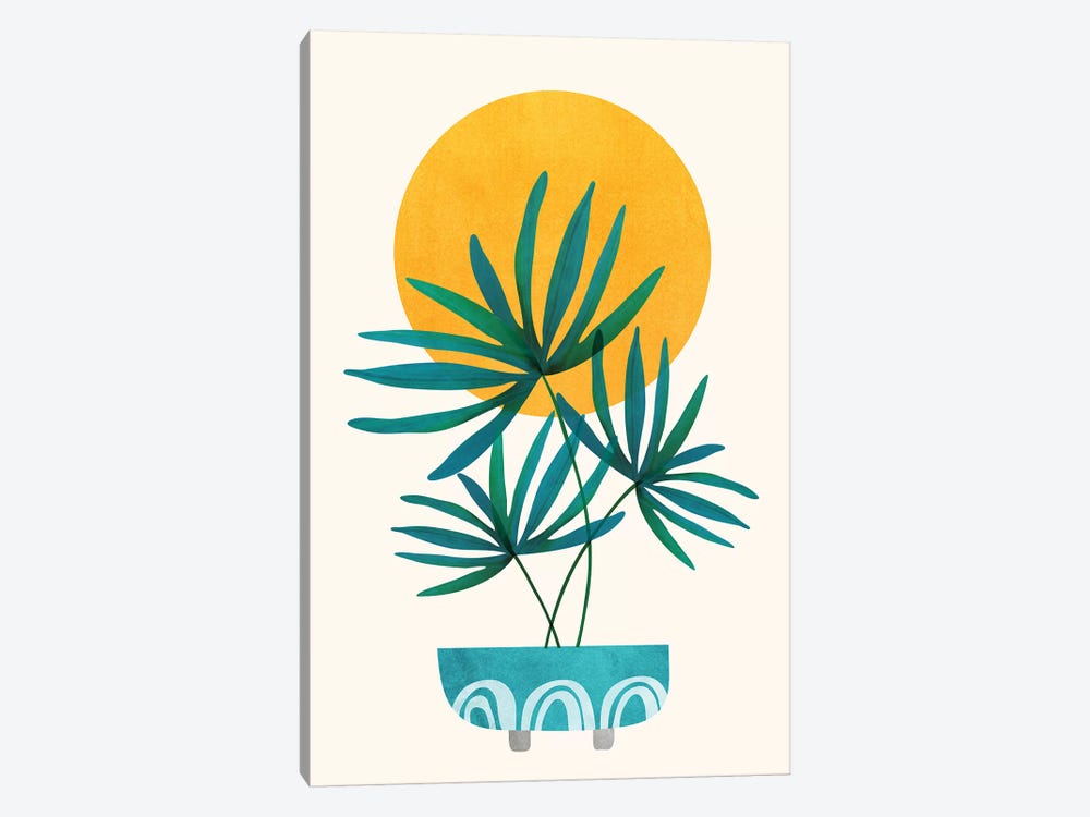 Little Palm by Modern Tropical 1-piece Canvas Artwork