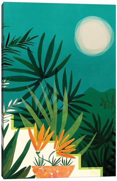 Tropical Moonlight Canvas Art Print - Modern Tropical